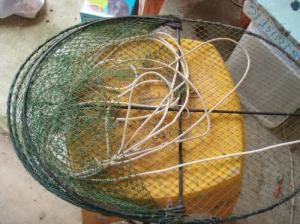 Basics For Redclaw Yabbies - Pine Rivers Fish Management Association
