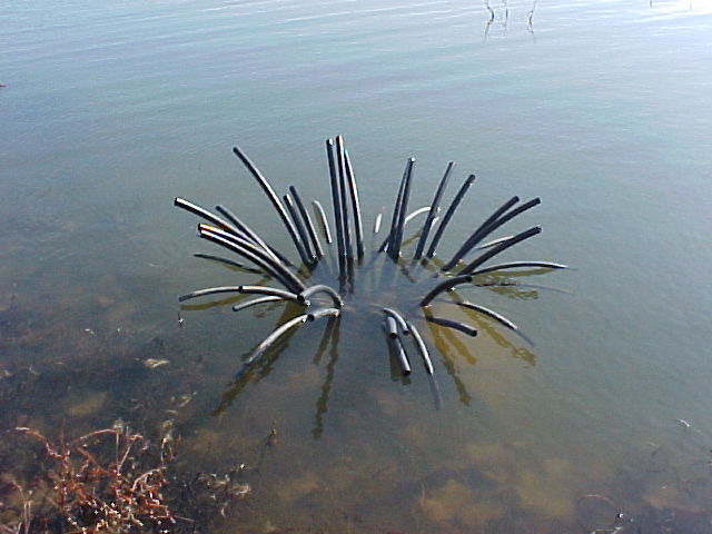 Spider Fish Aggregating Device