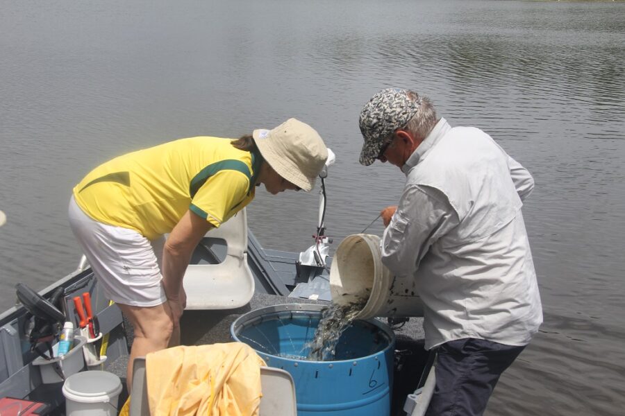 Fish Stocking Programs - Pine Rivers Fish Management Association